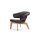 Leisure Munich Lounge kulit Upholstered Beech kerusi berlengan