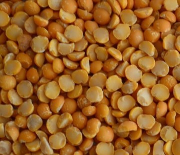 canadian chick peas, yellow whole and split peas