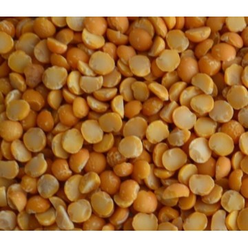 canadian whole yellow peas, split yellow peas                        
                                                Quality Choice