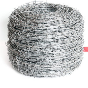 Hot Dipped Galvanized Barbed Wire for Prision