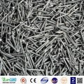 Sanxing Superior Quality Common Nails