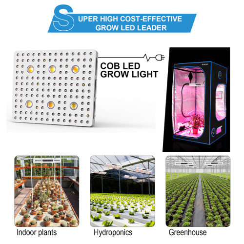 Lâmpada de cultivo interno de 1000/2000/3000 w para suculentas