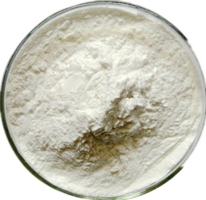  Casein