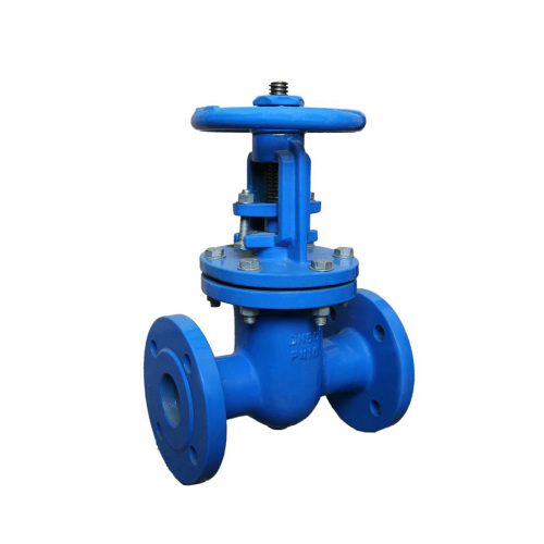 DIN F5 Rising Gate Valve