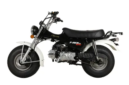 SKYTEAM 125cc E5 4 Stroke T-REX RV90 Beach Motorcycle (EEC Euro5 Euro4 Approved)