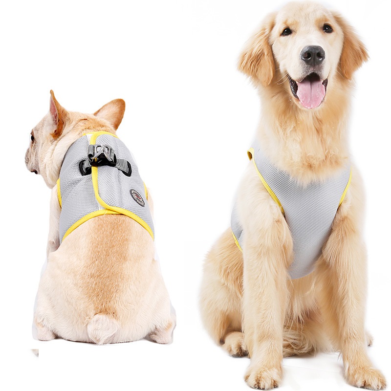 Dog Harness