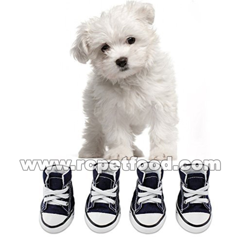 Dog shoes easy to put on