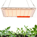 /msite/products/detail/productid/57983481/id/679434.html
