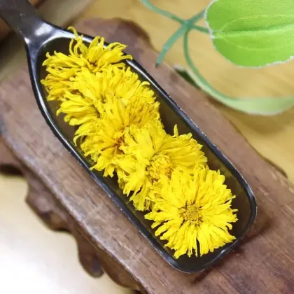 Golden Dried Chrysanthemum Flowers