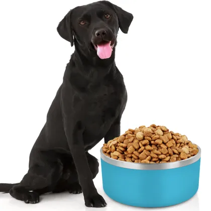 Durable Non-Skid Insulated Rubber Bottom Pet Bowl