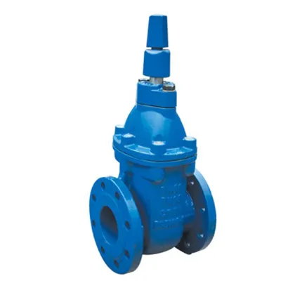 Type B BS 5163 Gate Valve