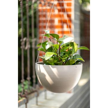 Jardinera colgante moderna para pared