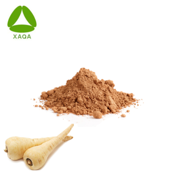 European Butterbur Extract Parsnip Root Extract Powder 10:1