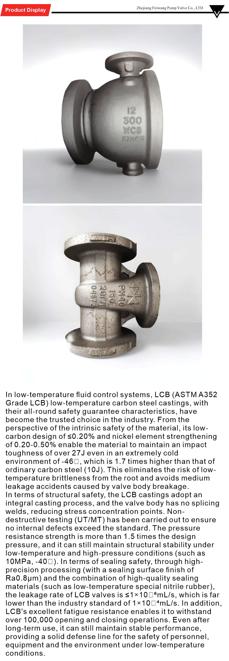 Low-temperature carbon steel series-xiangqing1-FW048