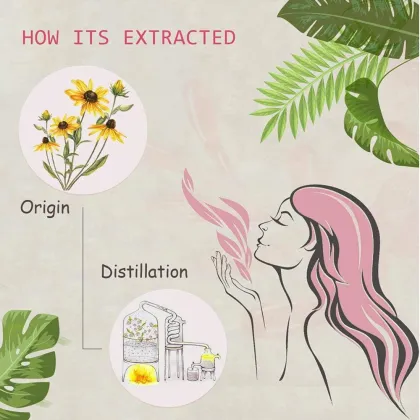 10ML Customization Label Wholesale CALENDULA OFFICINALIS FLOWER OIL CAS# 70892-20-5 Calendula Infused Oil for Skincare