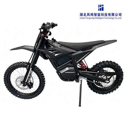1000W Yüksek Hızlı Elektrikli Motosiklet