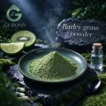 Polvo de hierba de cebada para productos nutricionales de origen vegetal
