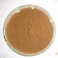Perilla Seed Extract Powder