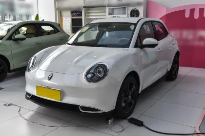Used Car Prices for Great Wall Motor Euler Good Cat 2024 401km Comfort Model