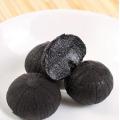 Best price single black garlic