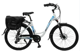 TW-1029inch Electric Bicycle MTB MEN