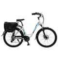 TW-1026INCH Electric Bicycle MTB MEN