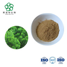 Water Soluble Platycladus orientalis leaf Extract