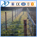 200g / m2 Hot Dipped Galvanized Farm Fence, Pagar Ternak