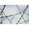 Galvanizado PVC Flat Concertina Razor Wire