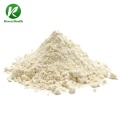 Natural Plant whey protein powder