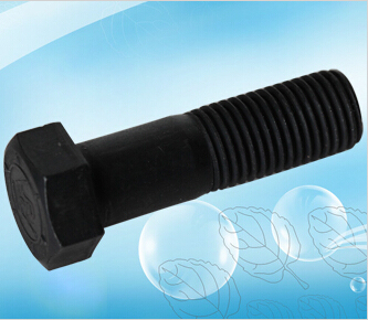 DIN 933 Hex bolt  black surface