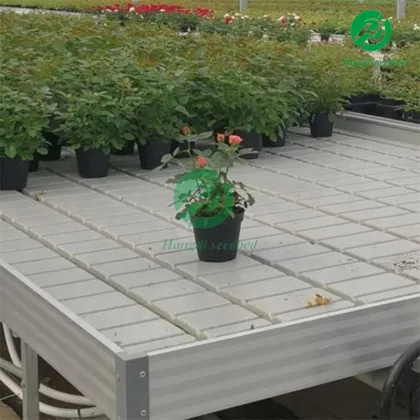 High-Quality Customized Agricultural Greenhouse Hydroponic Equipment by Hangdi Factory