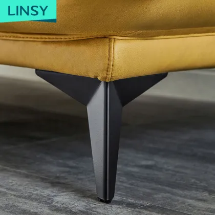 Linsy Modern Foldable Tatami Floor Sofa Bed Set