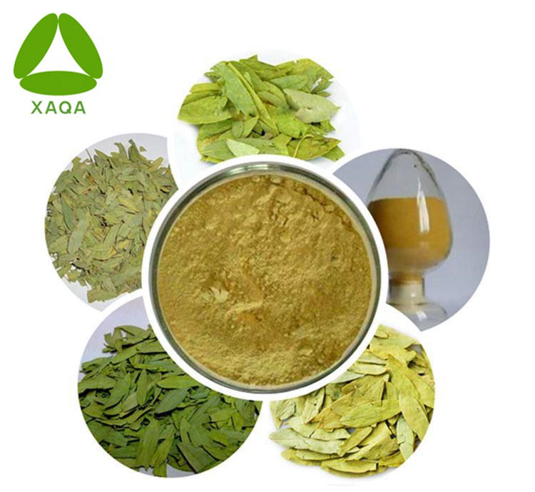 Senna Leaf Extract Powder Natural Radix 10:1 Organic