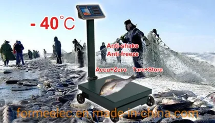 Weight Scale Electronic Scale 300kg Platform Scale 600kg Platform Balance Platform Weigher