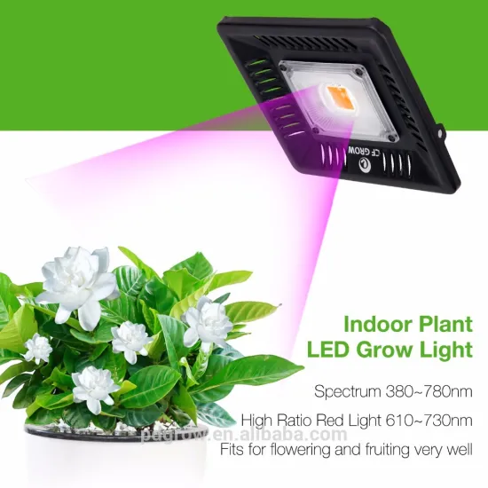 Top Quality Led Fluorescent Lights Greenhouse Equipment COB Led Grow Light