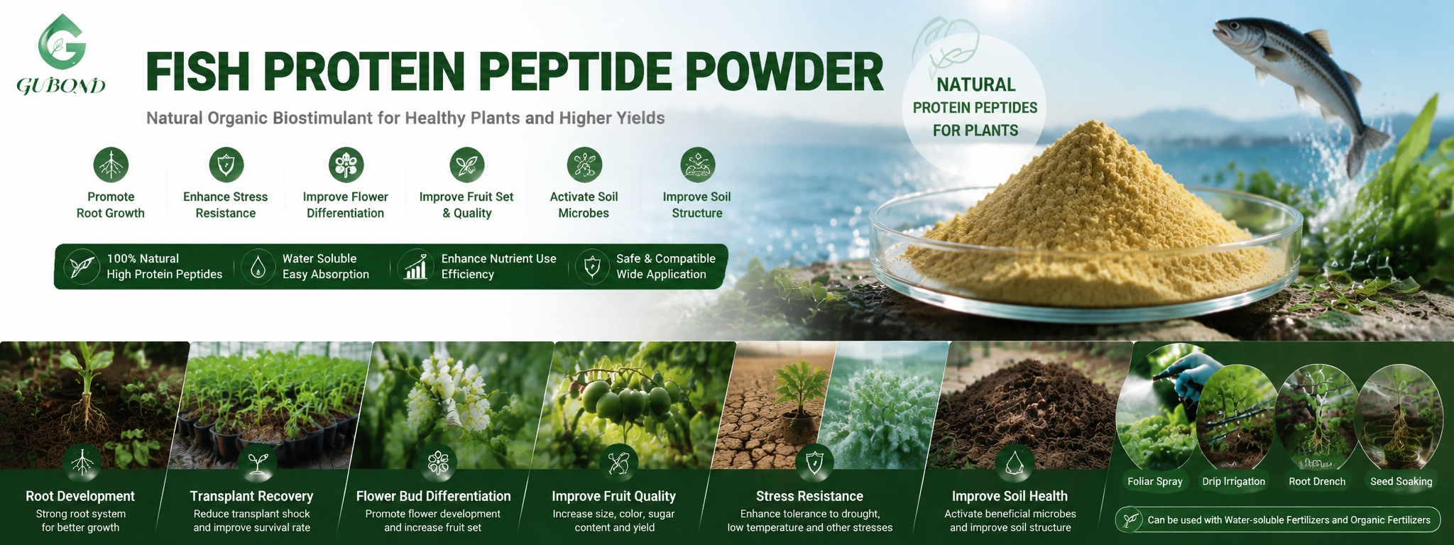 Fish Protein Peptide