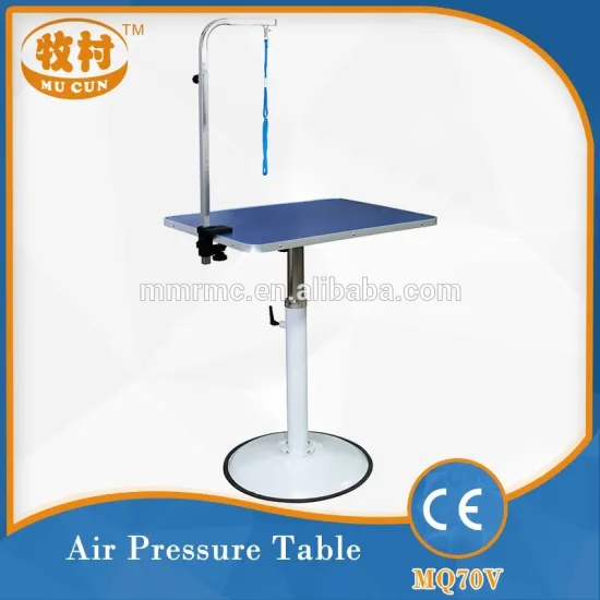 2015 Height Adjustable Pneumatic Table