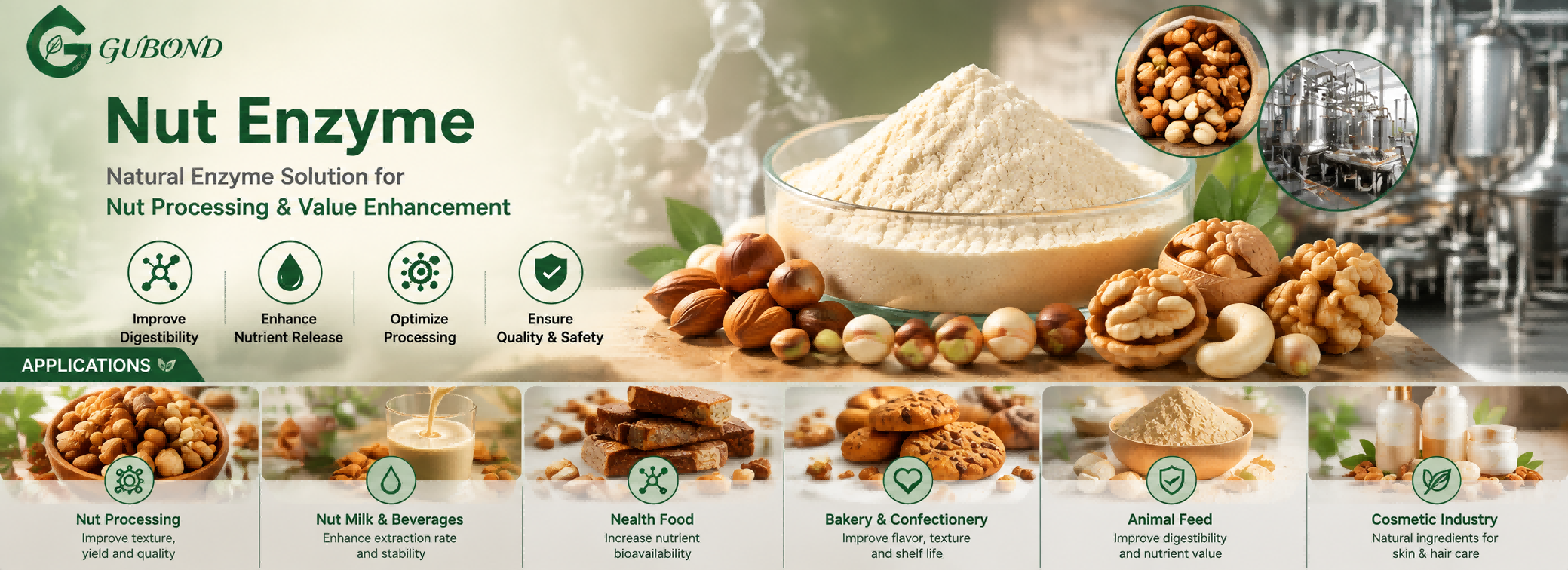 Nut Enzyme