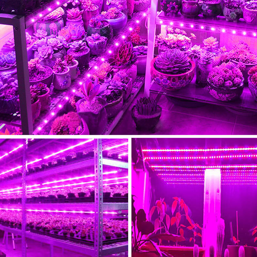 LED Grow Light Full Spectrum DC5V USB Grow Strip 0.5m 1m 1.5m 2m 2.5m 2835 SMD LED Phyto Tape for Seed Plants Flowers Greenhouse