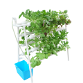 Skyplant Hydroponic System to Growing in Greenhouse