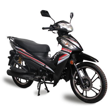 Honlg Factory Custom Gasoline Motorcycles: 125cc, 120cc, 110cc, 107cc Scooters