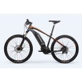 Bicicleta de tierra eléctrica rápida personalizada