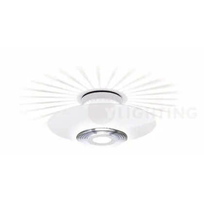 Modern Classic Designer Moni ceiling light