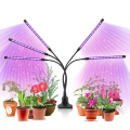 LED -odlingsljus för inomhus