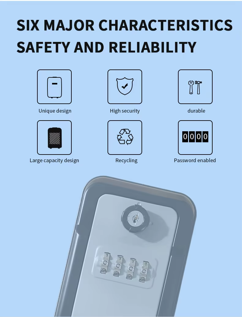 10 password lock box