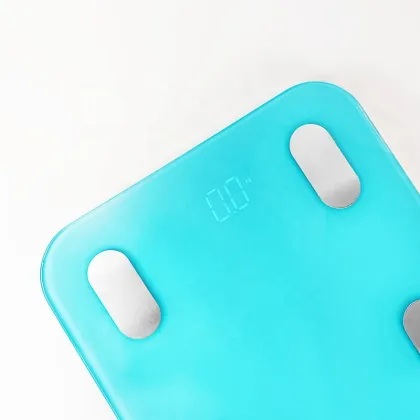 LEAONE APP TSEC Healthy BMI Body Fat LED Scale 2024 Zhejiang Lishui City Data Analytics