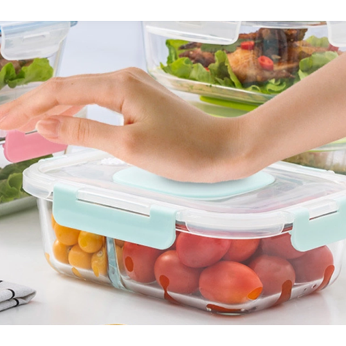 Freezable Glass Lunch Box