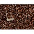 Perilla -Samen hohe Qualität