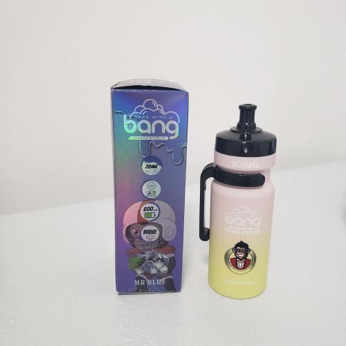 Suécia descartável bar vape bang rei 9000 bufks